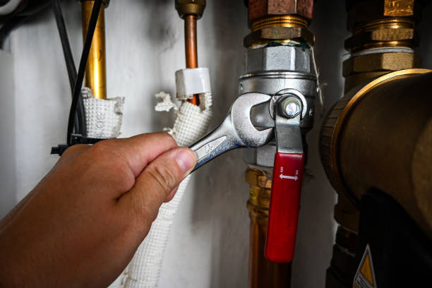 Best Plumbing Inspection Services  in Alvarado, TX